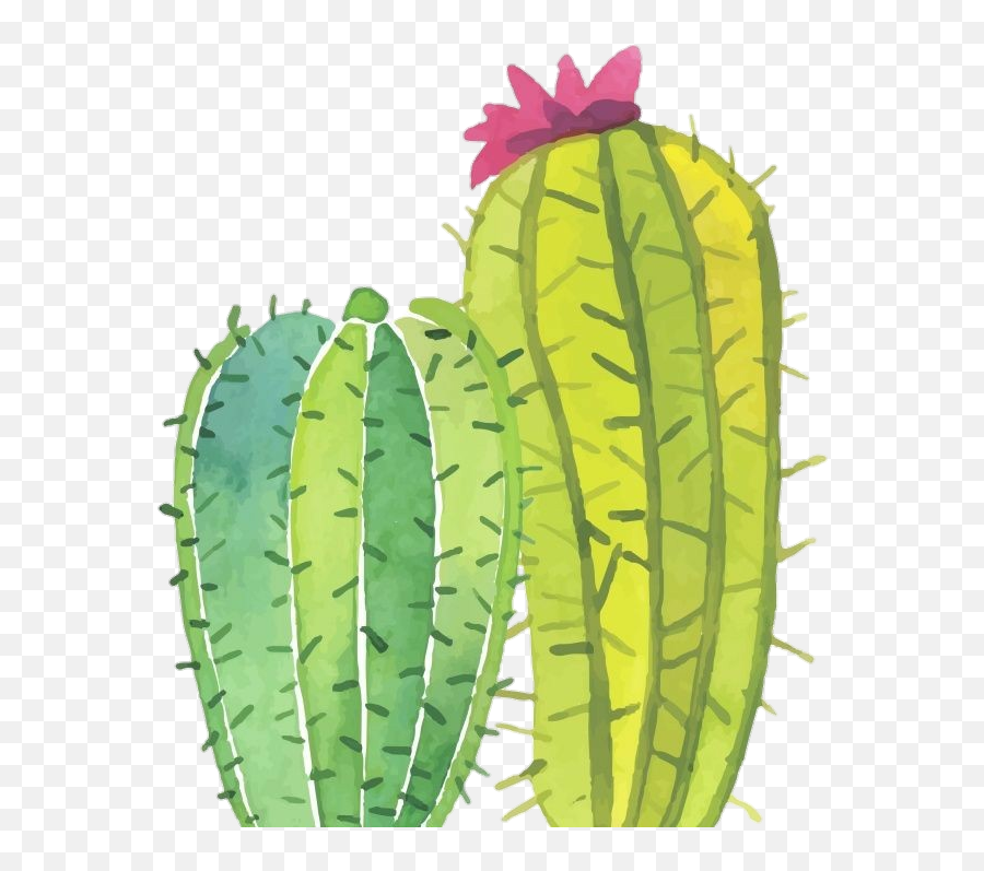 Cactus Png Tumblr - Cactus Png Emoji,Cactus Emoji