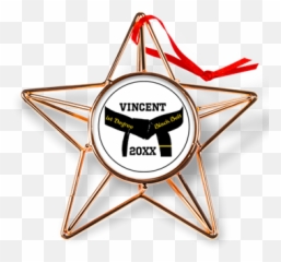 65 Best Martial Arts Gifts Images In - Copper Star Ornament Emoji