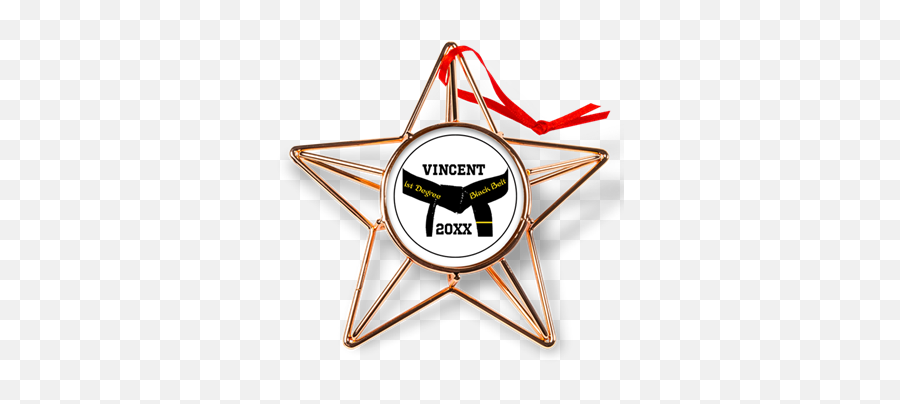 65 Best Martial Arts Gifts Images In - Copper Star Ornament Emoji,Karate Emoji Iphone