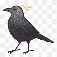 Crow Bro - American Crow Emoji,Crow Emoji