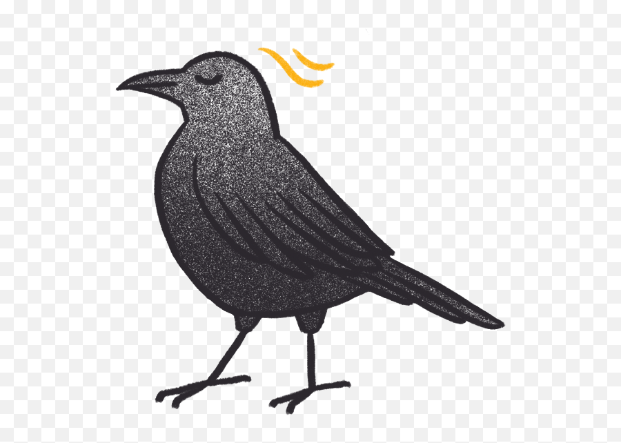 Crow Bro - American Crow Emoji,Crow Emoji