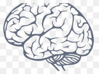 Download Png Transparent Background Brain Cartoon PNG - Emoji