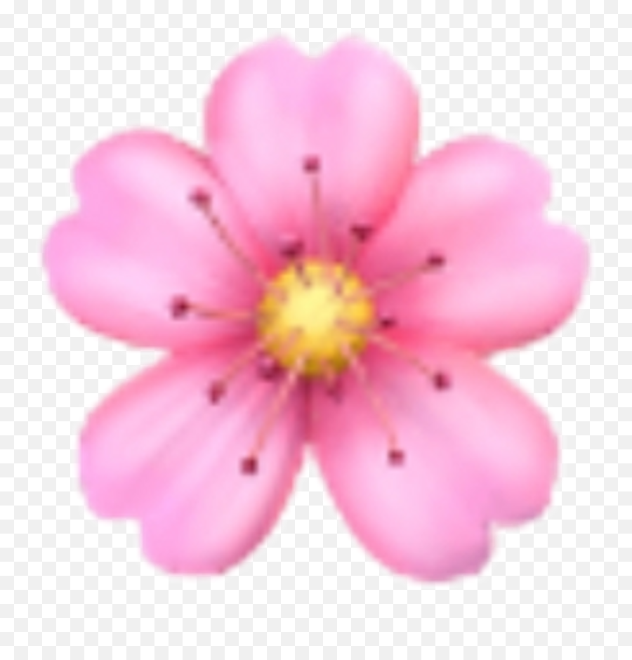Flower Sakura Emoji Emojis Rose Sticker Ios Iphone - Iphone Flower Emoji Png,Sakura Emoji