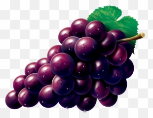 Grape Zante Currant Seedless Fruit - Fruit Grape Vector Png Emoji,Grape Emoji