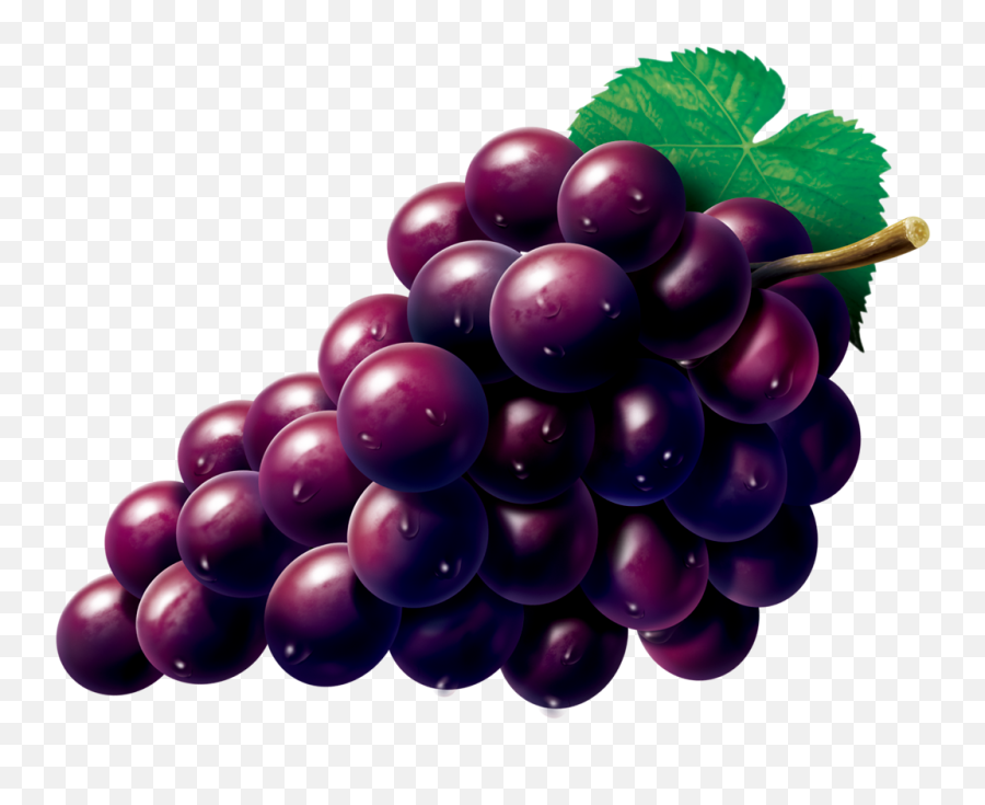 Grape Zante Currant Seedless Fruit - Fruit Grape Vector Png Emoji,Grape Emoji