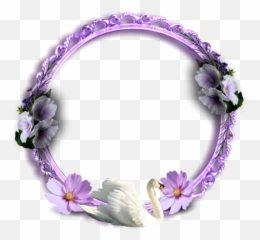 Png Swan Bird Picture Frame Free Pictures - Bracelet Emoji,Clock Emoji