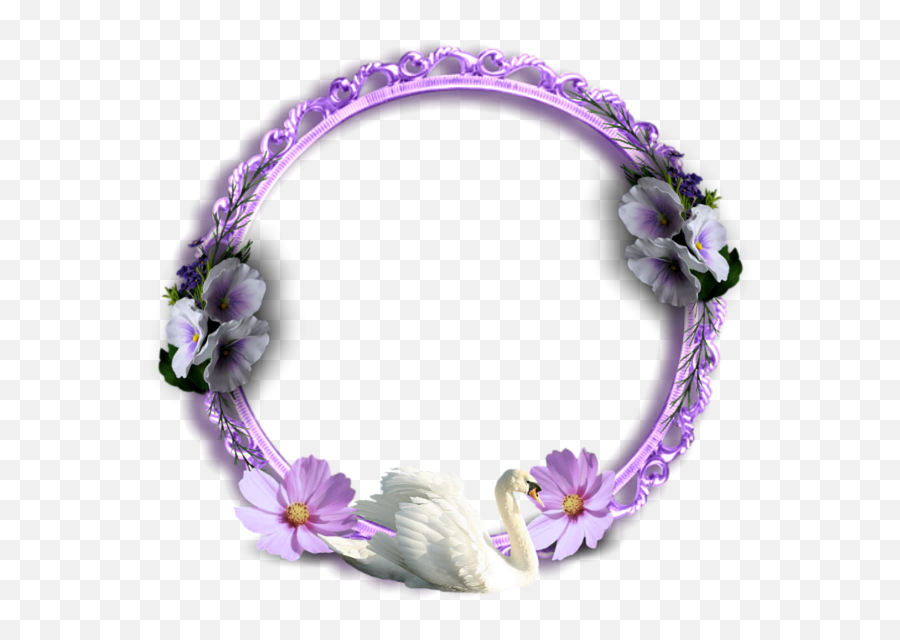 Png Swan Bird Picture Frame Free Pictures - Bracelet Emoji,Clock Emoji
