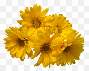 Image File Formats Clip Art - Yellow Flowers Bouquet Png Yellow Flower Png Emoji,Bouquet Of Flowers Emoji