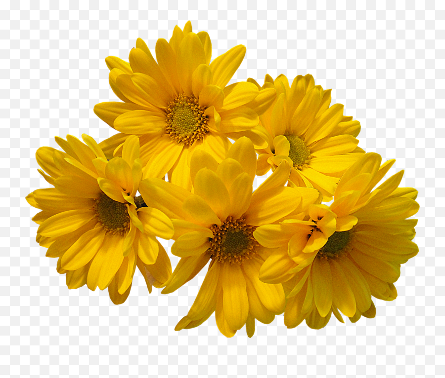 Image File Formats Clip Art - Yellow Flowers Bouquet Png Yellow Flower Png Emoji,Bouquet Of Flowers Emoji