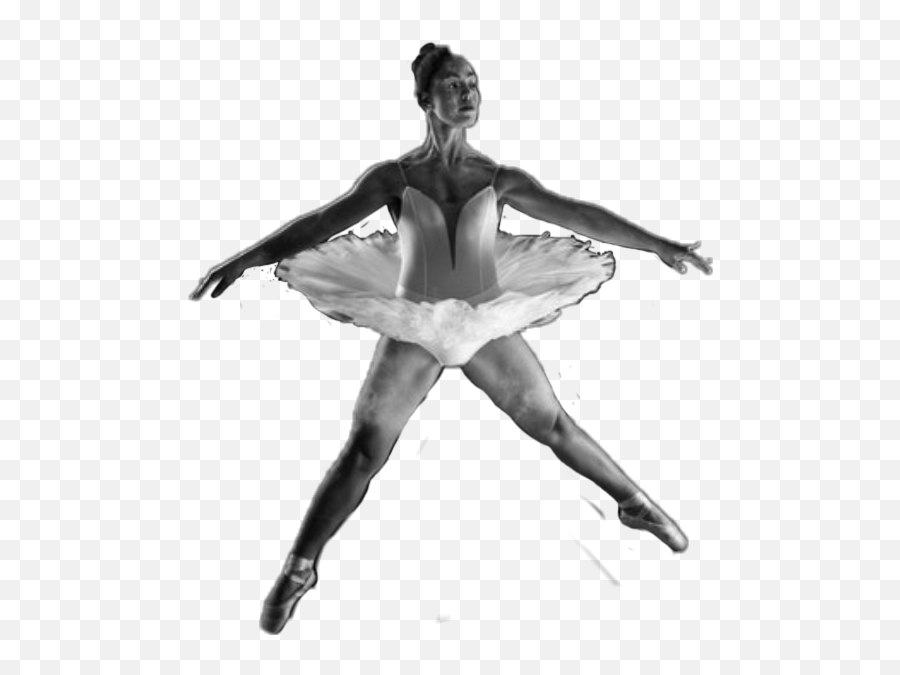 Ballerina Ballet Dancer Dance Dancing - Ballet Dancer Emoji,Woah Dance Emoji