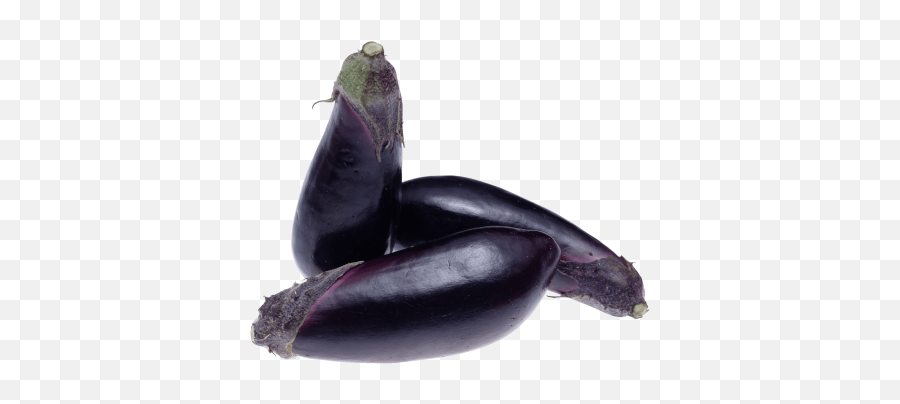 Aubergine Png And Vectors For Free Download - Dlpngcom Berenjena Png Emoji,Yam Emoji