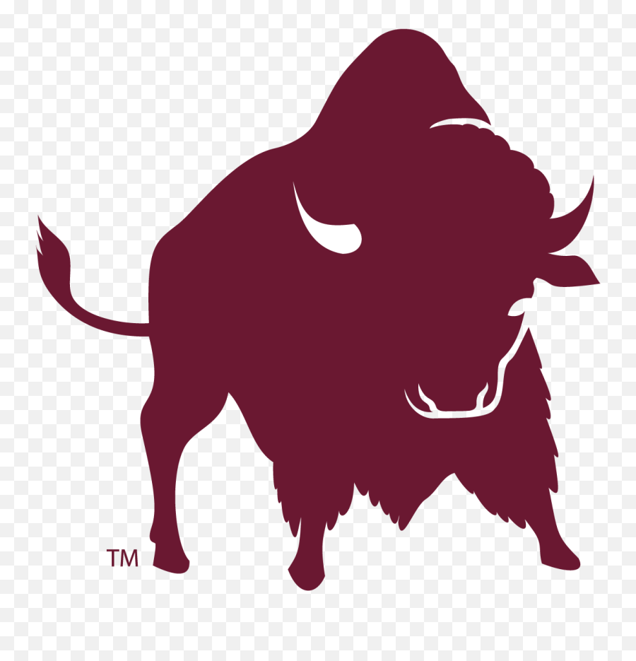 Ox Clipart Bufalo Ox Bufalo Transparent Free For Download - Wtamu Buffs Emoji,Buffalo Emoji