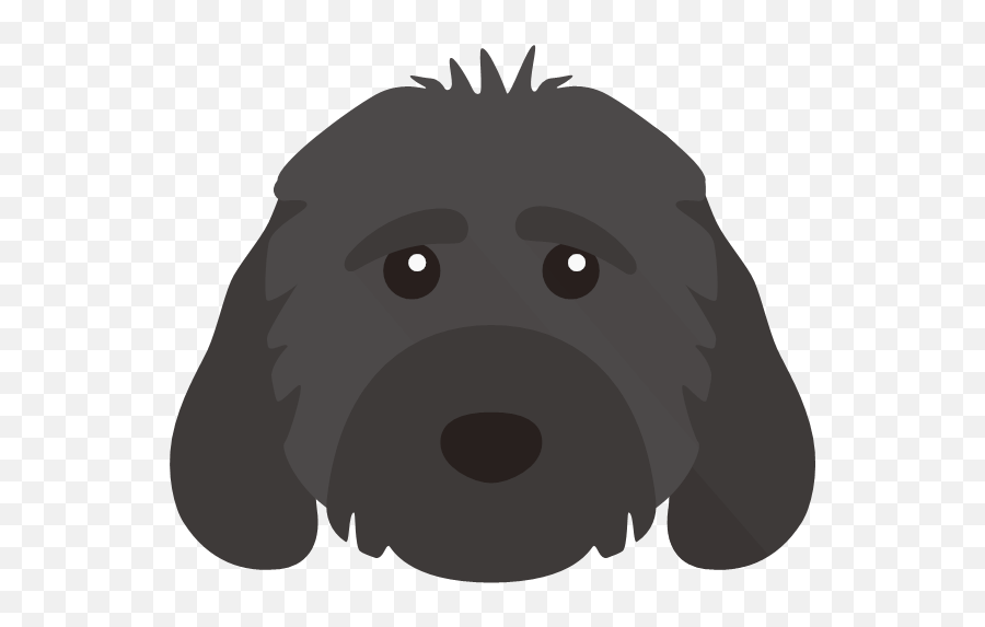 Personalised U0027mucky Pupu0027 Towel For Your Dog Yappycom - Cockapoo Face Black And White Icon Emoji,Pup Emoji