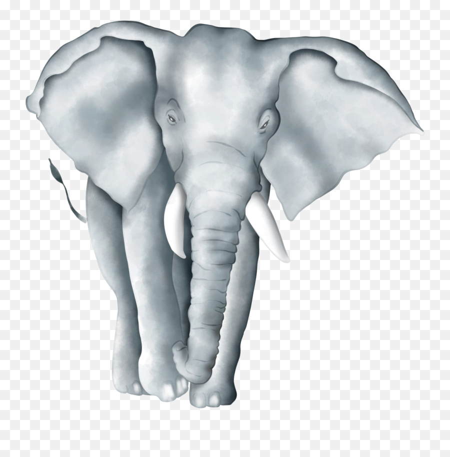 Elephant Biganimals Wildanimals Sticker By Stacey4790 - Big Emoji,Elephant Emoji