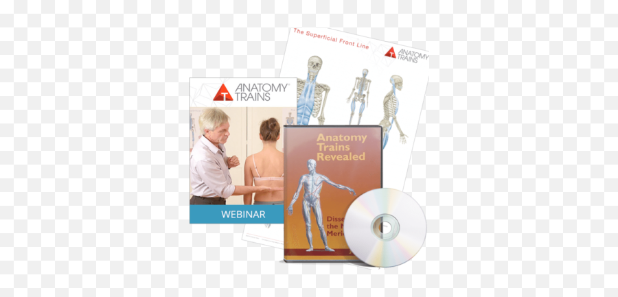 Anatomy Trains For Manual Therapy - Books Dvds Posters Optical Storage Emoji,Joint Emoji