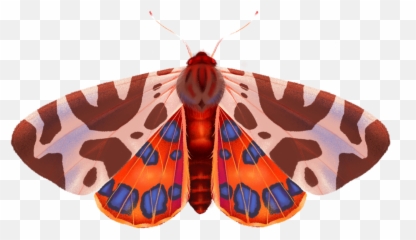 Moth Butterfly Bug Sticker - Hawk Moths Emoji,Moth Emoji