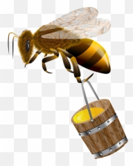 Bee Carrying Honey Png Emoji