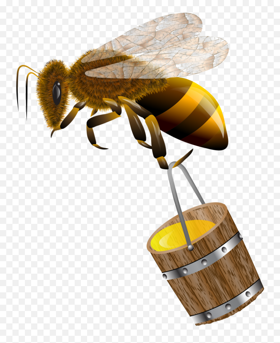 Bee Carrying Honey Png Emoji,Honey Bee Emoji