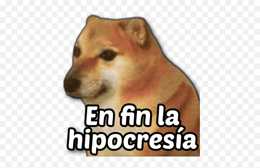 Otty The Otter - Sticker De En Fin La Hipocresía Emoji,Shiba Inu Emoji