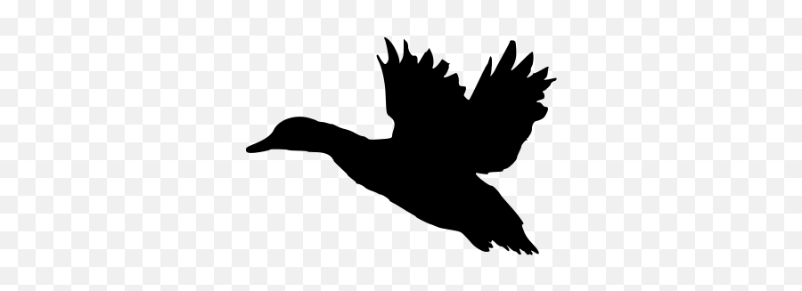 Vector Duck Flying Bird Transparent - Flying Duck Clipart Emoji,Flying Bird Emoji