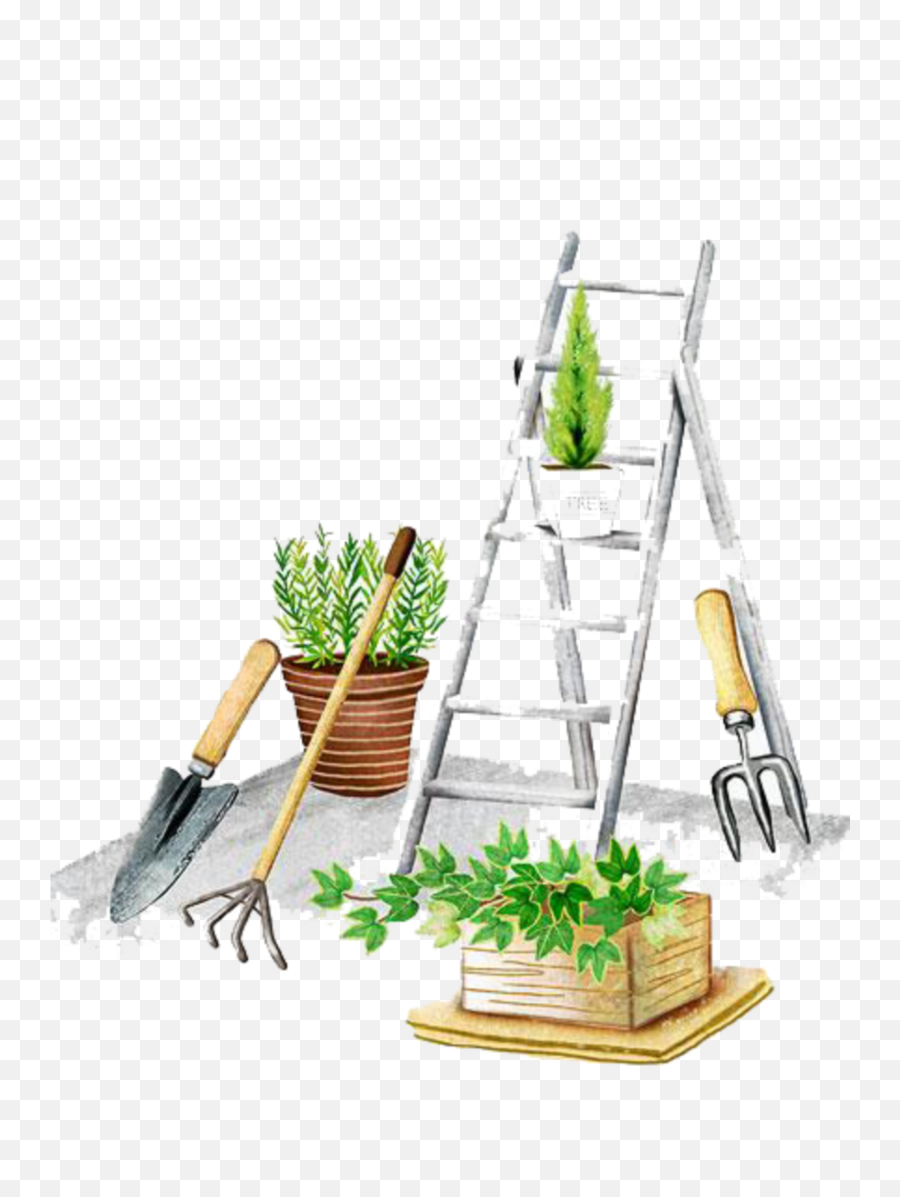 Ftestickers Watercolor Ladder Plants Gardening - Pine Emoji,Gardening Emoji
