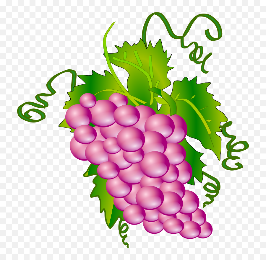 Purple Grapes Cliparts 14 Buy Clip Art - Grappolo D Uva Png Emoji,Grape Emoji Png