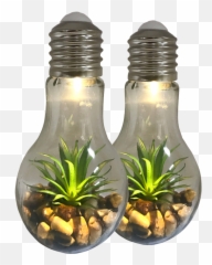 2 - Pack Litezall LED Light Bulb Terrarium Lamps With Ledlight Emoji