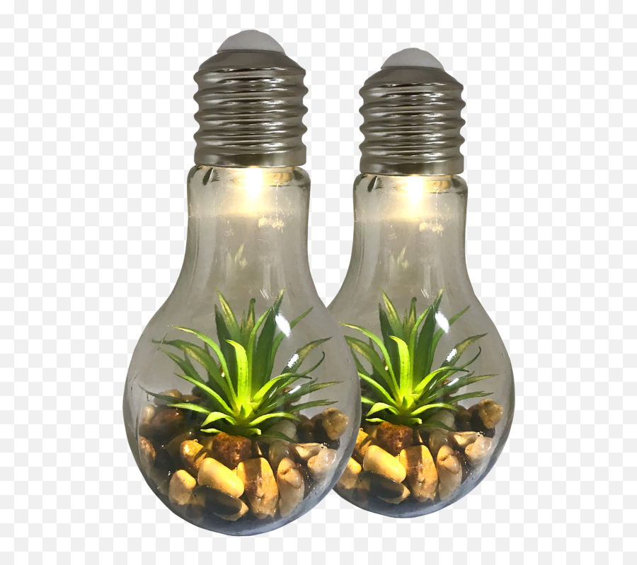 2 - Pack Litezall Led Light Bulb Terrarium Lamps Light Bulb Terrarium With Ledlight Emoji,Light Bulb Camera Action Emoji