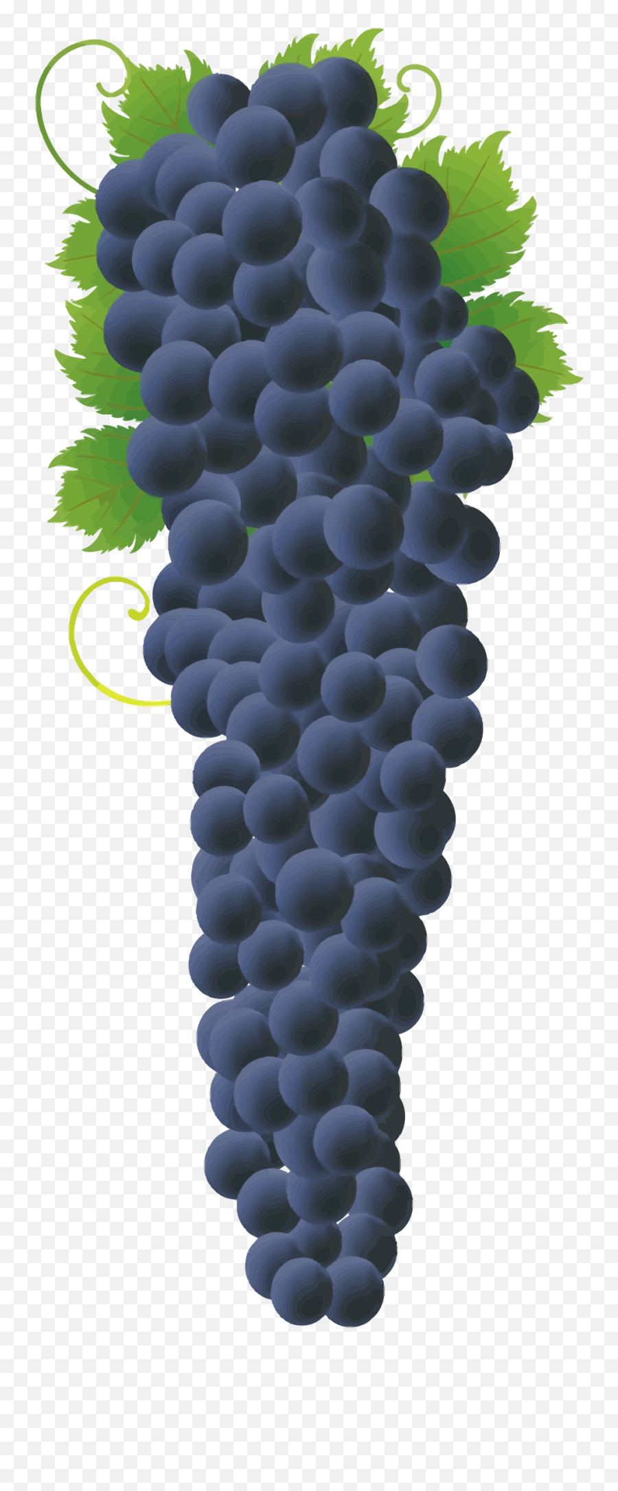 Grapes Clipart Emoji Grapes Emoji Transparent Free For - Bunch Of Blue Grapes,Grape Emoji
