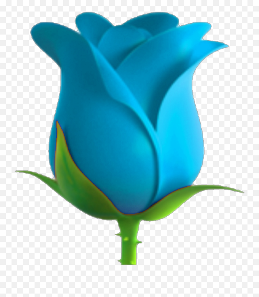 Add Cash Network Guide Lotus Flower Emoji Copy And Paste - Rose Emoji Transparent,Flower Emoji Copy And Paste