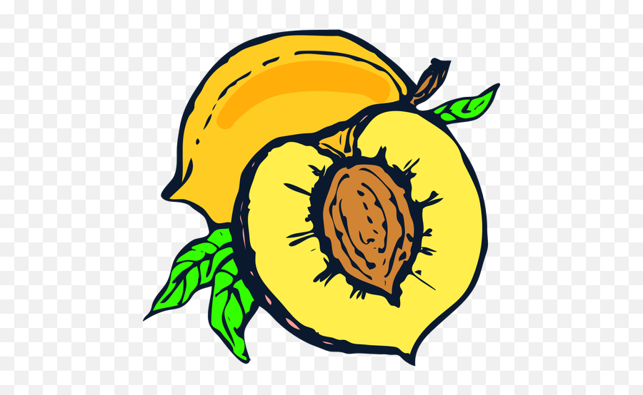 Half Of Peach Vector Image - Peach Pit Clipart Emoji,Avocado Emoji Apple