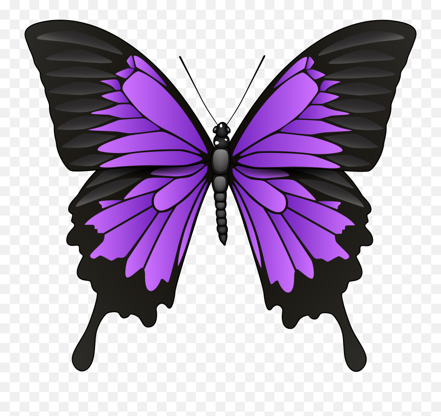 Purple Butterfly Transparent Png Emoji,Butterfly Emoji Png