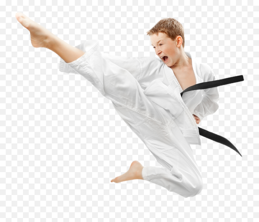 Taekwondo Drawing Spin Kick Transparent - Karate Transparent Background Emoji,Karate Emoji Iphone