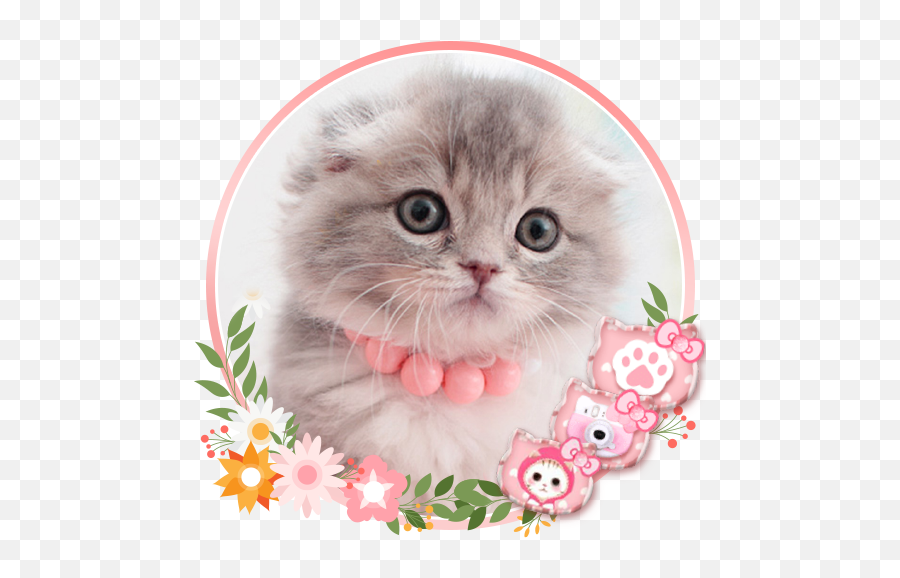 Cute Kitty Cat Launcher Theme Live Hd - Papel De Parede Celular Gatinho Emoji,Cat Boot Emoji