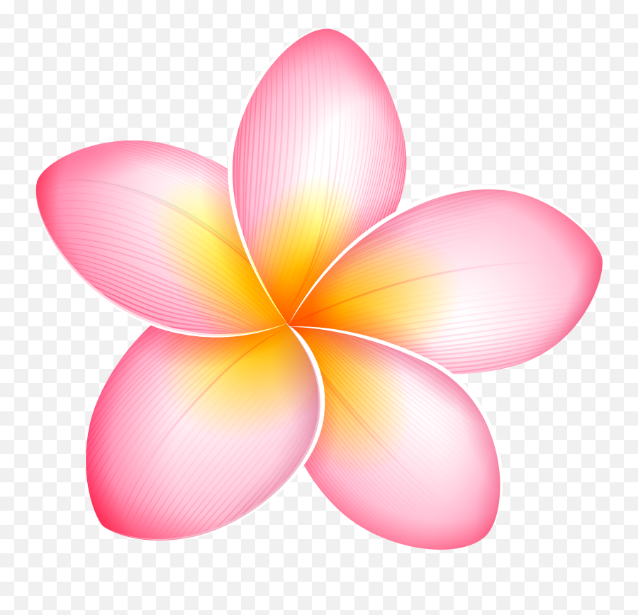 Library Of Flower Faces Vector Black - Tropical Flowers Clipart Png Emoji,Hawaiian Flower Emoji