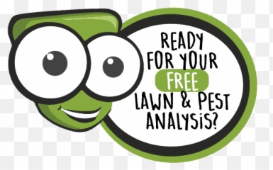 Free Lawn And Pest Analysis - Cartoon Emoji,Cockroach Emoticon