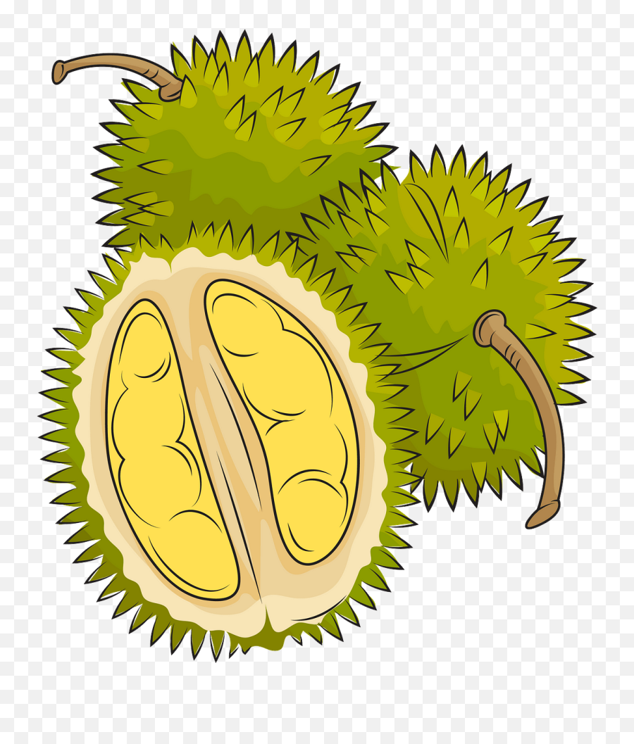 Lemon Clipart Durian Fruit Lemon - Miss India Khadi 2019 Emoji,Durian Emoji