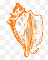 Seashell Template Clipart - Conch Shell Clip Art Emoji,Conch Shell Emoji