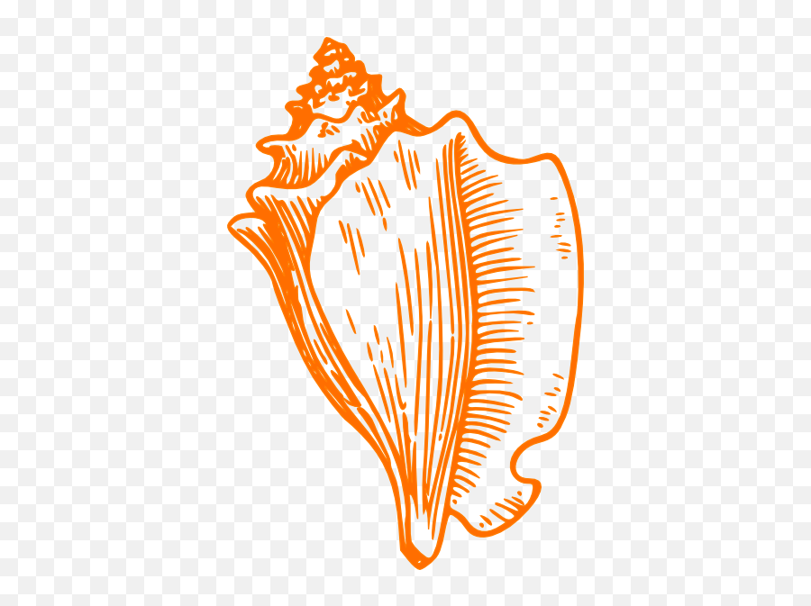 Seashell Template Clipart - Conch Shell Clip Art Emoji,Conch Shell Emoji