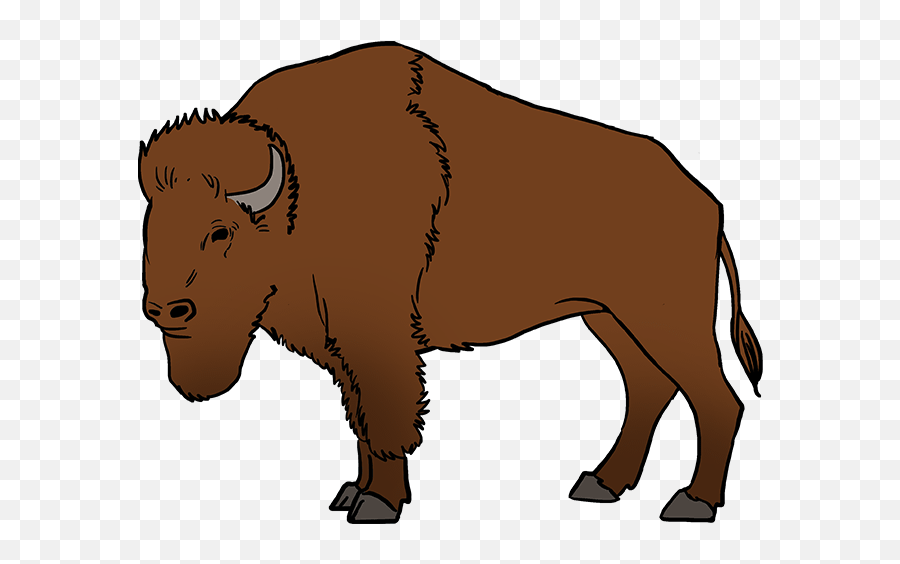 How To Draw A Buffalo - Buffalo Easy To Draw Emoji,Buffalo Emoji