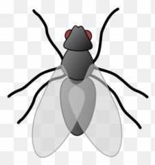 Fly Cockroach Louie Morgan Sticker - Fictional Character Emoji,Fly ...