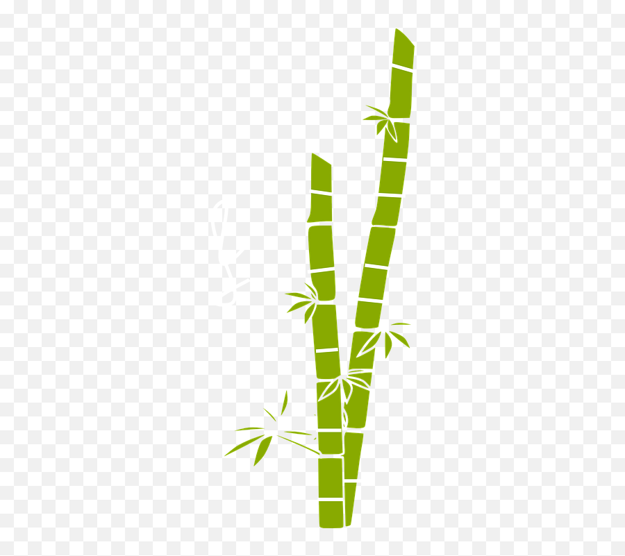 Free Bamboo Panda Vectors - Bamboo Clipart Emoji,Bamboo Emoji