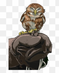 Owl Perched - Gambar Burung Hantu Bertengger Emoji