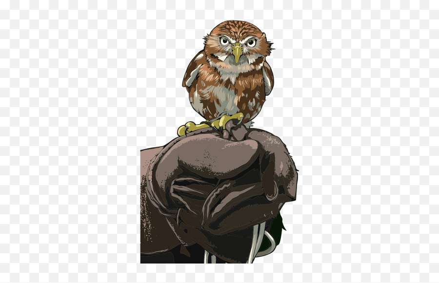 Owl Perched - Gambar Burung Hantu Bertengger Emoji,Three Fingers Emoji