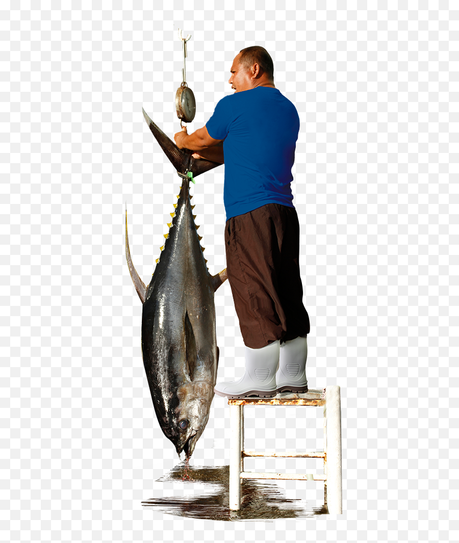 Download Marine Tuff Shrimp Boots - Pull Fish Out Of Water Pacific Sturgeon Emoji,Water Droplet Emoji