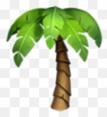 Download Hd Emoji Emojis Emojisticker Iphone Iphoneemoji - Iphone Palm Tree Emoji,Green Leaf Emoji