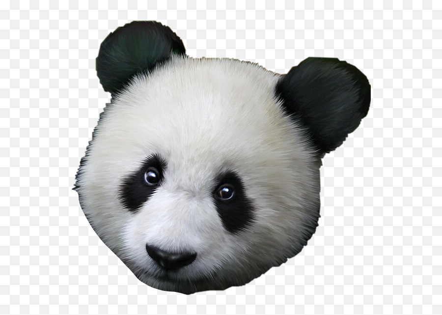 Largest Collection Of Free - Toedit Pandaface Stickers On Picsart Panda L Emoji,Panda Face Emoji
