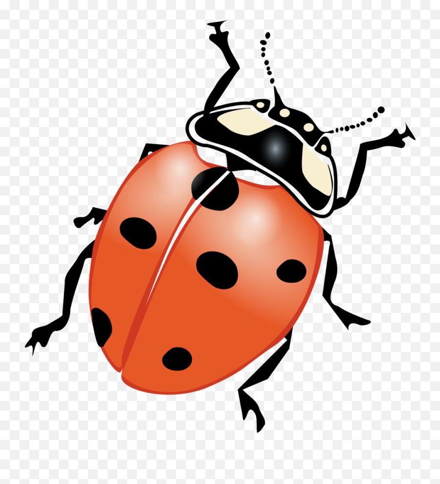February Clipart Beetle February - Ladybug Clipart Emoji,Beetle Emoji