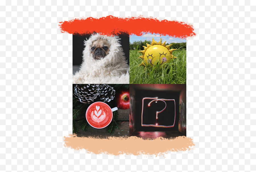 Social Design Challenge - Northern Breed Group Emoji,Opossum Emoji