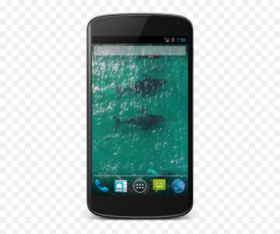 Free Video Wallpaper 1 - Samsung Galaxy Nexus White Emoji,Free And Whale Emoji